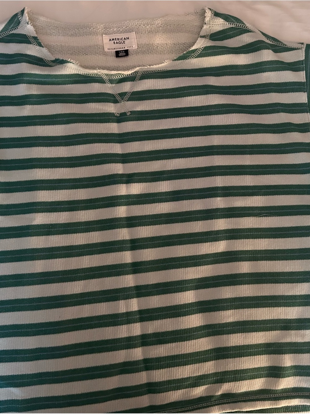 American Eagle Outfitters Green and White Striped Short Sleeve Lightweight
